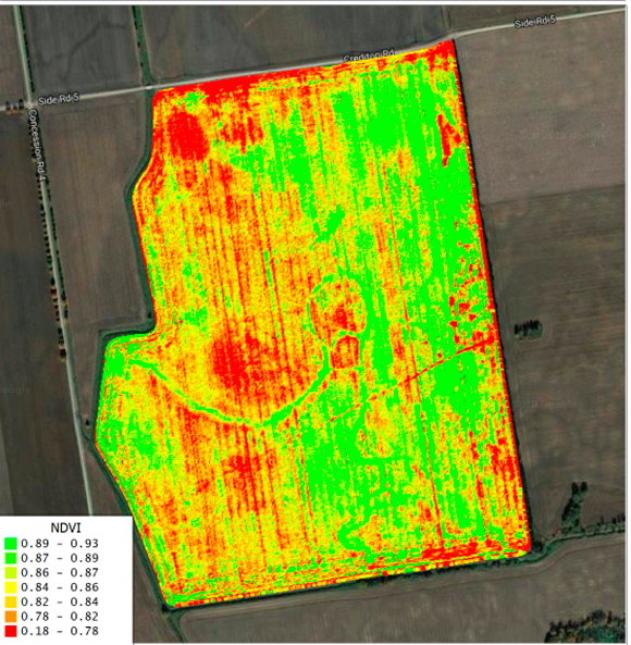Exemplo de mapa de NDVI aplicado à agricultura